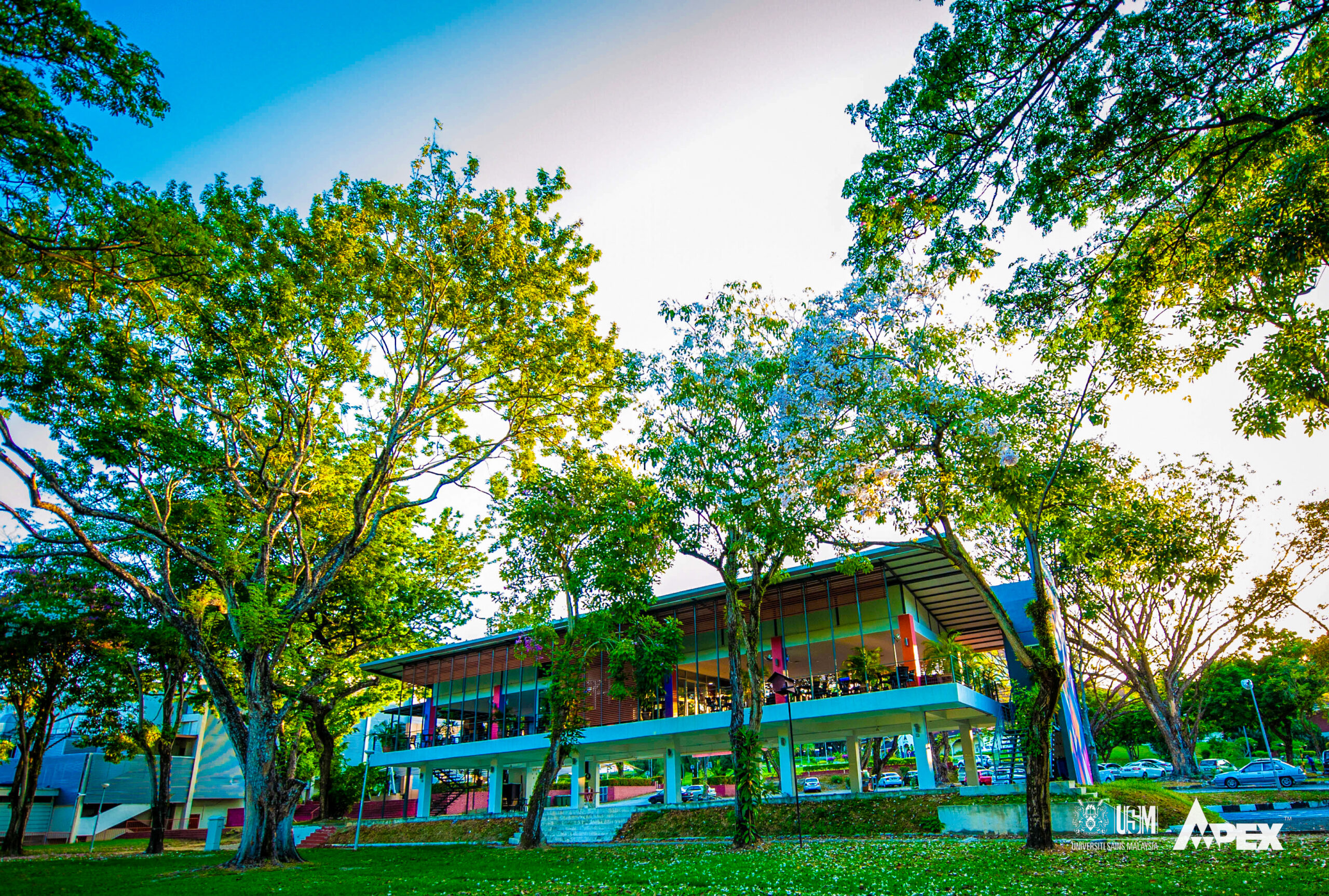 USM 12