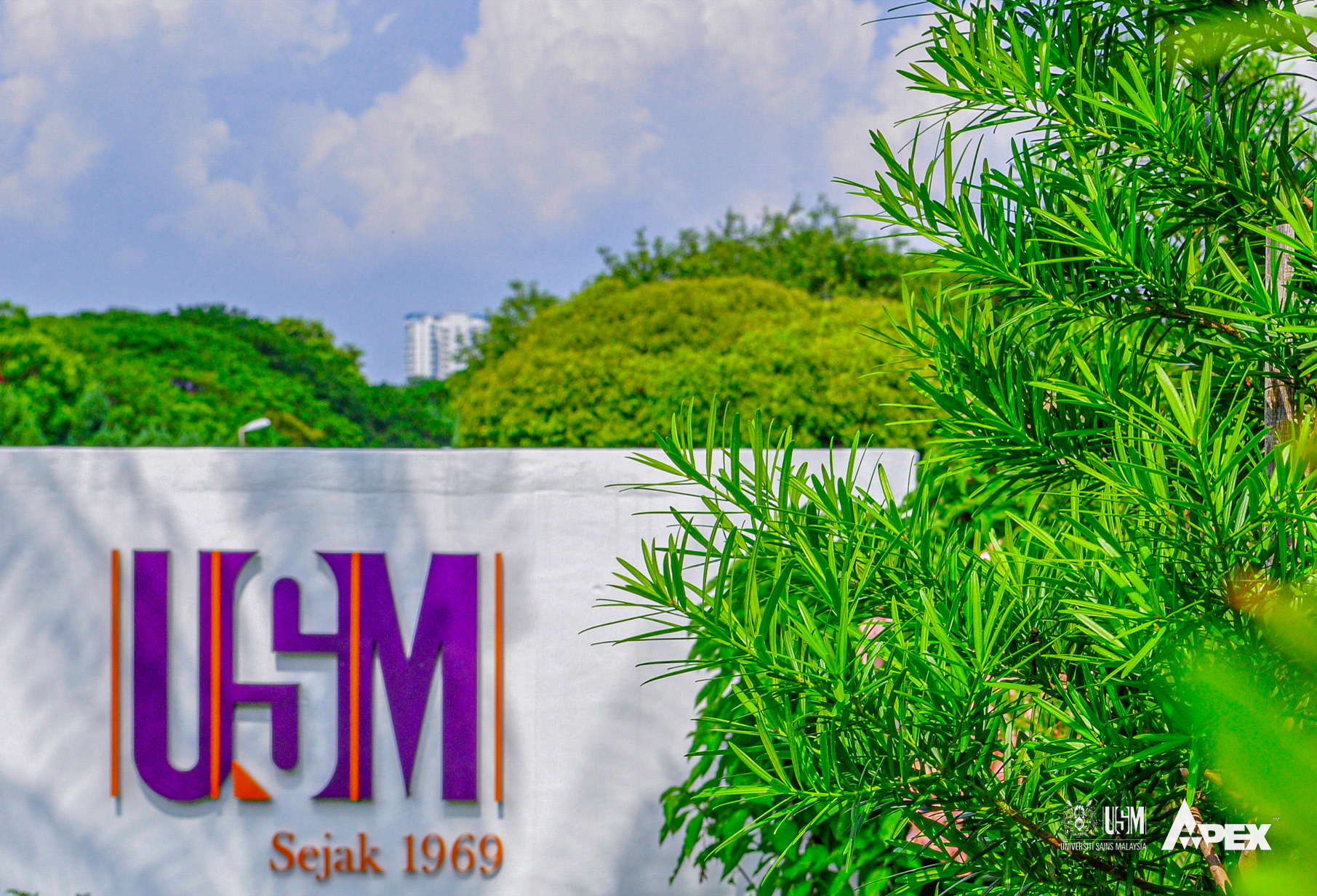 USM 7