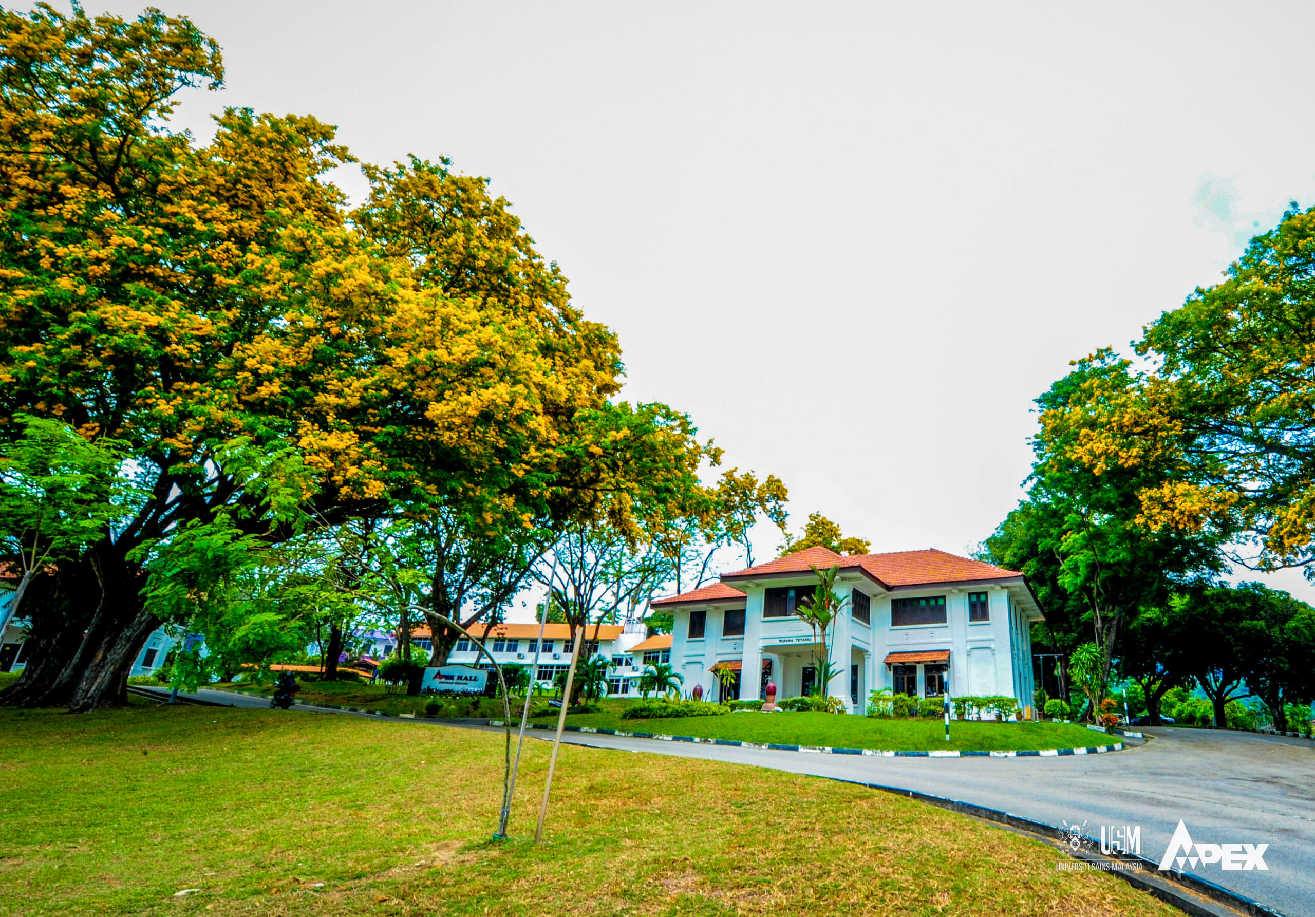 USM 9